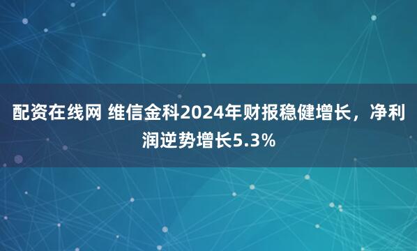 配资在线网 维信金科2024年财报稳健增长，净利润逆势增长5.3%