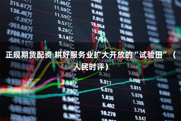 正规期货配资 耕好服务业扩大开放的“试验田”（人民时评）