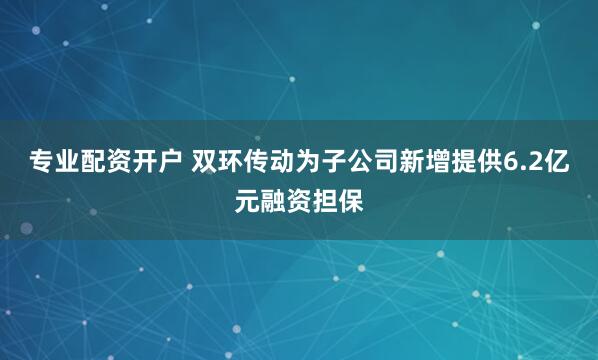 专业配资开户 双环传动为子公司新增提供6.2亿元融资担保