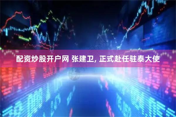 配资炒股开户网 张建卫, 正式赴任驻泰大使